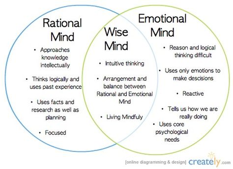 Dbt Therapy, Wise Mind, Dbt Skills, Dialectical Behavior Therapy, Counseling Activities, Therapy Counseling, Counseling Resources, Therapy Worksheets, Group Therapy