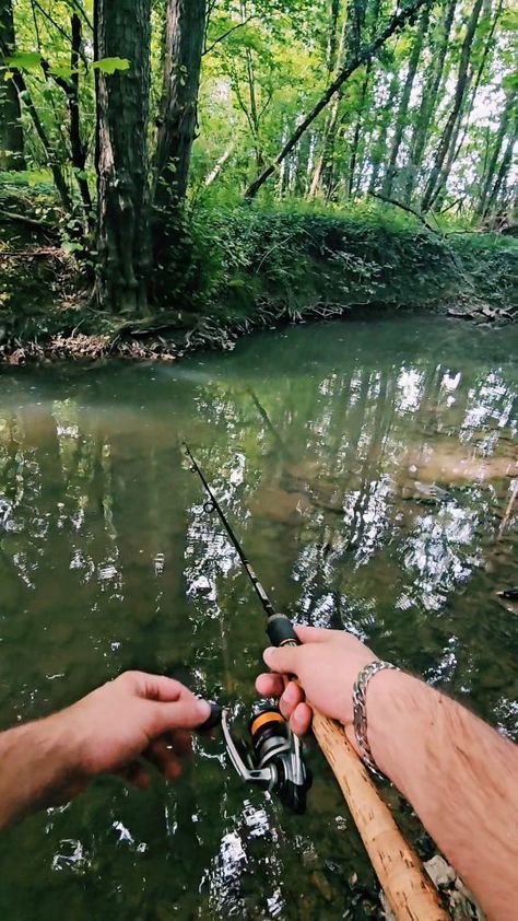 🅼🅸🅲🅺🅰🅽🅰🅿🅴🅲🅷🅴 | #peche #fishing #truite #trout #leurre #lure #nokill #caperlan #gunki #meps #nature | Instagram Fishing Aesthetic, Fishing Trout, Fishing Pictures, Nature Instagram, Fishing Knots, Fish Ponds, Going Fishing, Trout Fishing, Fishing Equipment