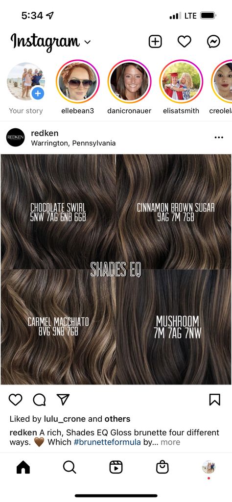 Ash Brown Color Formula, Redken Shades Eq Dark Blonde Formulas, Toner Colors For Dark Hair, Brown Toner Before And After, Cool Brown Hair Formula, Redken Shades Eq Mushroom Brown, Medium Brown Shades Eq Formula, Shades Eq Formulas Brunettes Ash, Shades Eq Level 6 Formulas