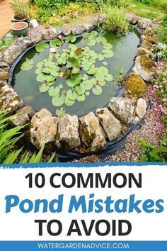 Ponds Backyard Waterfall, Small Fish Pond, Fish Ponds Backyard, Small Backyard Ponds, Diy Ponds Backyard, Ponds For Small Gardens, Backyard Design On A Budget, Wildlife Pond, Fish Pond Gardens