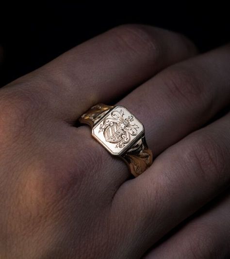 Mens Gold Signet Wedding Ring, Vintage Men Rings, Vintage Signet Ring Men, Vintage Rings Men, Jase Ballenger, Dance Of Thieves Aesthetic, Gold Signet Ring Mens, Thieves Aesthetic, Vow Of Thieves