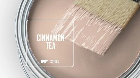 Cinnamon Tea S200-2 | Behr Paint Colors Behr Marquee, Behr Colors, Behr Paint Colors, Behr Paint, Paint Sheen, Orange Paint, Colors For Home, Pink Paint, Painted Floors