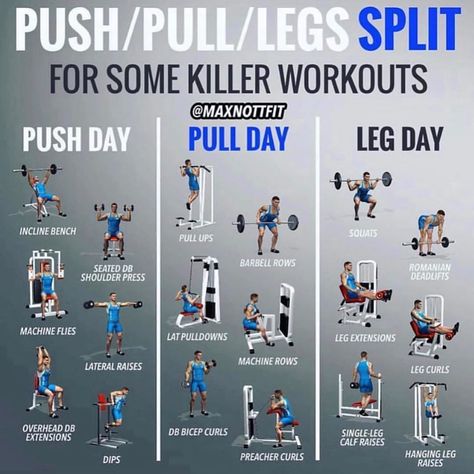 2 Push/Pull Workout Plans - Create a Full Balanced Body With These Workouts - GymGuider.com Push Pull Workout Routine, Push Pull Legs Workout, Leg Workout Plan, Weight Training Schedule, Push Day Workout, Push Pull Workout, Fitness Before After, Pull Day Workout, Bodybuilding Videos