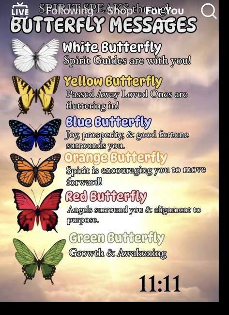 Butterfly Messages, Butterfly Meaning, Spirit Signs, Spirit Messages, Spiritual Awakening Signs, Animal Spirit Guides, Butterfly Quotes, Magic Spell Book, Witch Spirituality