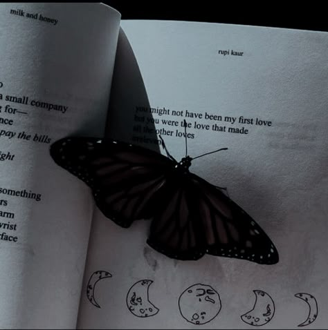 Black Butterflies Aesthetic, Vision Board Aesthetics, Sharpen Theme Rp, Butterflies Aesthetic, Hades Aesthetic, Art Vision Board, Sharpen Theme, Dark And Gloomy, Butterfly Black And White