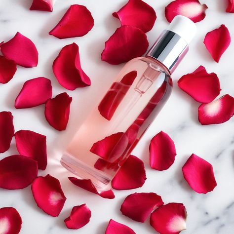 Rose Water Skin Toner Homemade Recipe: A Gentle and Fragrant Elixir for Radiant, Glowing Skin. Rose water, an elegant and timeless beauty Toner Homemade, Homemade Rose Water, Rose Water Diy, Homemade Toner, Rose Toner, Fresh Rose Petals, Diy Rose, Video Making, Diy Roses