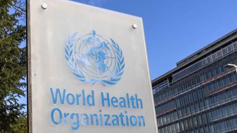 More than half of WHO’s trans health committee have no medical background, are LGBTQ activists: Report Respiratory Illness, World Health Organization, High Risk, Who Said, Respiratory, Public Health, Syrup, New World, Disease