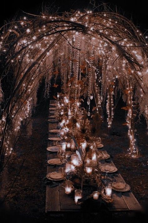 Fae Ball Aesthetic, Fantasy Ball Aesthetic, Hades And Persephone Wedding, Royal Ball Aesthetic, Destiny Core, Patio Lights String Ideas, Patio Lights String, Fae Ball, Dark Fairytale Aesthetic