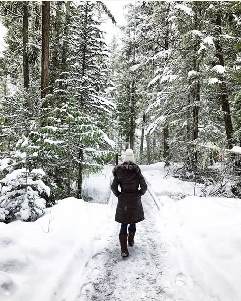 Walking in a winter wonderland Winter Walking, Walking In Winter, Winter Walk Aesthetic, Walking In Snow, Hike Aesthetic Winter, Forest Aesthetic Outfit, Winter Dog Walk Aesthetic, Winter Lake, Business Pictures