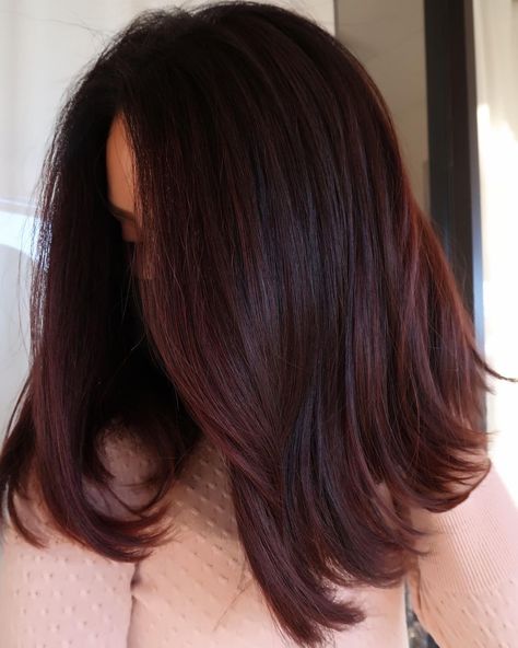 Color Hair Styles, Red Hair Ideas, Pelo Color Vino, Subtle Hair Color, Pink Brunette, Hair Color For Brown Skin, Red Balayage Hair, Brown Hair Looks, Wine Hair