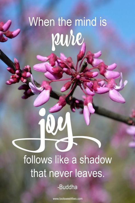 Joy Quotes Bible, Mission Trip Quotes, Finding Joy Quotes, What Is Joy, Choose Joy Quotes, Trip Quotes, Philosophical Questions, Magical Quotes, Word Joy