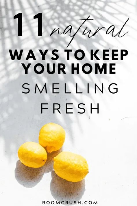 How to make your smell fresh and clean with that natural clean house smell Deodorize House, Essential Oil Lotion Recipe, Clean House Smell, Smell Fresh And Clean, Plants For Bedroom, Boil Lemons, Best Plants For Bedroom, Nontoxic Living, Simmer Pot Recipes