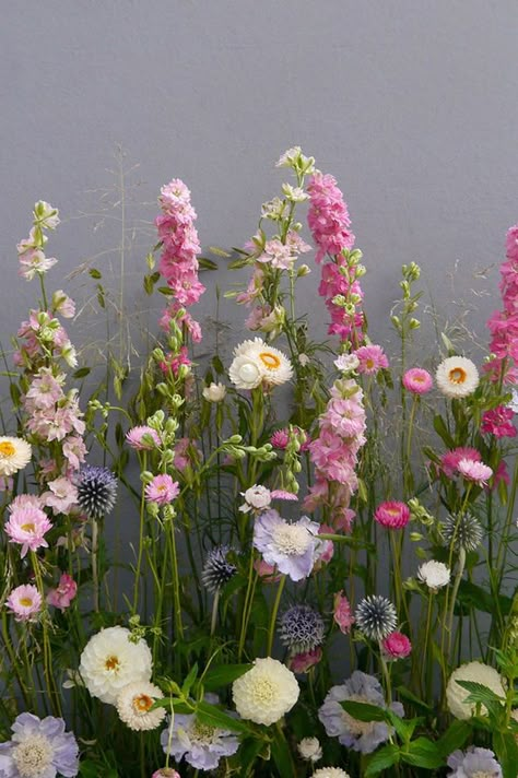 Favourite Flowers, English Spring Flowers, Wild Flowers Arrangements, English Flower Bouquet, English Wedding Flowers, British Flower Garden, Wild Spring Flowers, British Garden Flowers, Cottage Garden Wedding Flowers