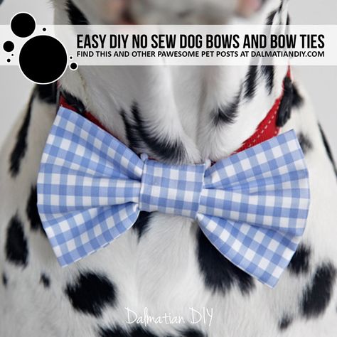 Dog Collar Bow Tie Diy, No Sew Bow Tie, Diy Dog Bow Tie No Sew, Cat Bowtie Diy, No Sew Dog Bow Tie, Bows For Dogs Diy, Dog Bow Tie Diy Free Pattern Printable, Dog Bow Ties Diy Free Pattern, Diy Dog Tie