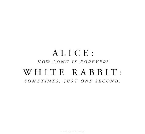 Rabbit Wonderland, Rabbit Quotes, The Problem With Forever, Bunny Quotes, Inspirational Quotes Background, Alice And Wonderland Quotes, Alice And Wonderland, Forever Quotes, Literature Quotes