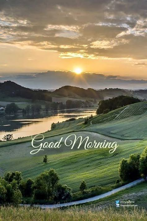 Beautiful Morning Pictures, Good Morning Nature Images, Nice Good Morning Images, Good Morning Animated Images, Latest Good Morning Images, Good Morning Greeting Cards, Latest Good Morning, Morning Status, Good Morning Beautiful Gif