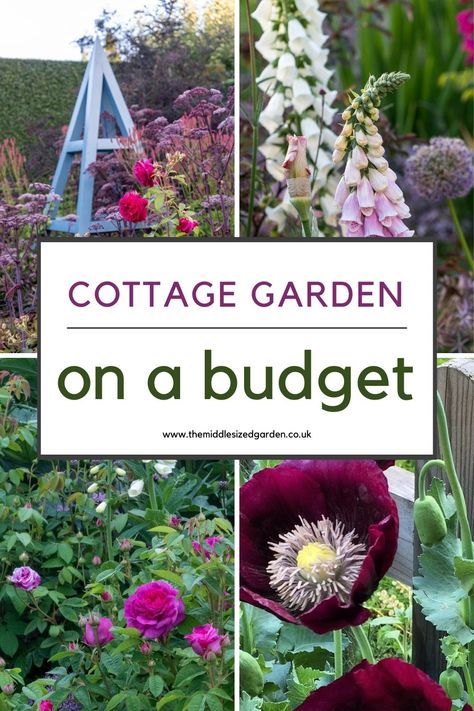 From empty space to brilliant cottage garden - on a shoestring budget. Lots of clever recycling ideas plus tips for keeping plant costs down. If you love cottage gardens, don't miss this 🌻🌲❤️😍 Cottage Garden Trellis, Small Cottage Garden Ideas On A Budget, How To Plan A Cottage Garden, Cottage On A Budget, How To Plant A Cottage Garden, Simple Cottage Garden Ideas, Narrow Cottage Garden, Diy Cottage Garden Ideas, Easy Cottage Garden Ideas