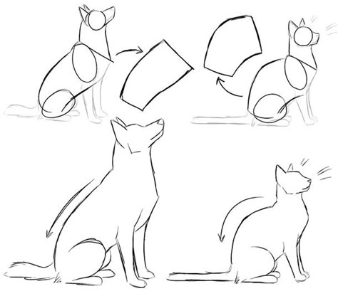 Comparación  de cómo se sientan los peros y gatos Dog Drawing Tutorial, Cats Sitting, Cat Anatomy, Drawing Animals, Dog Sketch, 강아지 그림, Animal Sketches, Dog Drawing, Drawing Tutorials