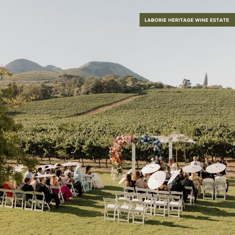 Thinking about getting married in the Cape Winelands?⁠ ⁠ Embark on a journey through South Africa's picturesque winelands, where romance mingles with the aroma of aged barrels and sprawling vineyards. Calling all wine enthusiasts and lovebirds alike! Get ready to uncork the magic as we unveil the {Top 8 Winelands Wedding Venues} that promise a blend of elegance, charm and of course, plenty of vino. 🍇💍⁠ .⁠ Click on the link in bio to catch the full release! 😄⁠ Winelands Wedding, Wine Enthusiast, Love Birds, Getting Married, South Africa, Link In Bio, Wedding Venues, Barrel, Cape