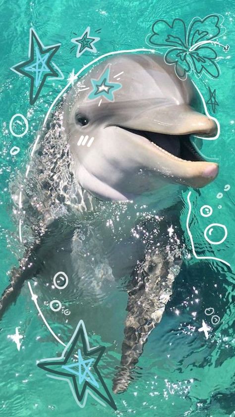 Cute Dolphin Wallpaper, Dolphin Aesthetic Wallpaper, Dolphin Wallpaper Aesthetic, Dolphins Aesthetic, Dolphin Aesthetic, Wallpaper Dolphin, Dolphin Poster, Dolphin Wallpaper, Dolphins Wallpaper