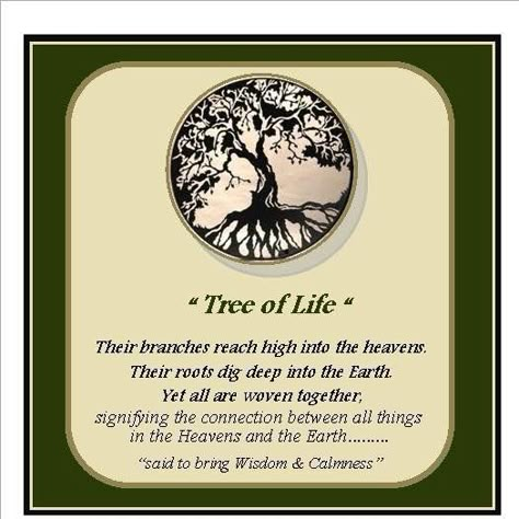 Tree Of Life Quotes Wisdom, Tree Of Life Sayings, Tree Of Life Meaning Quotes, Tree Of Life Tattoo Meaning, Tree Of Life Meaning Spiritual, Life Meaning Quotes, Tree Of Life Quotes, Tree Of Life Pictures, Mandala Tattoo Meaning