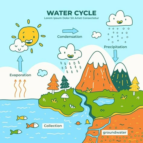 Hand drawn water cycle | Premium Vector #Freepik #vector #evaporation #water-cycle #rain-cloud #illustrations Hydrological Cycle Drawing, Water Cycle Diagram Drawing, Water Cycle Diagram Science, Water Cycle Poster Ideas, Watercycle Kids Drawing, Water Cycle Poster Project For Kids, Watercycle Kids Project Model, Importance Of Water For Kids, Watercycle Kids Project