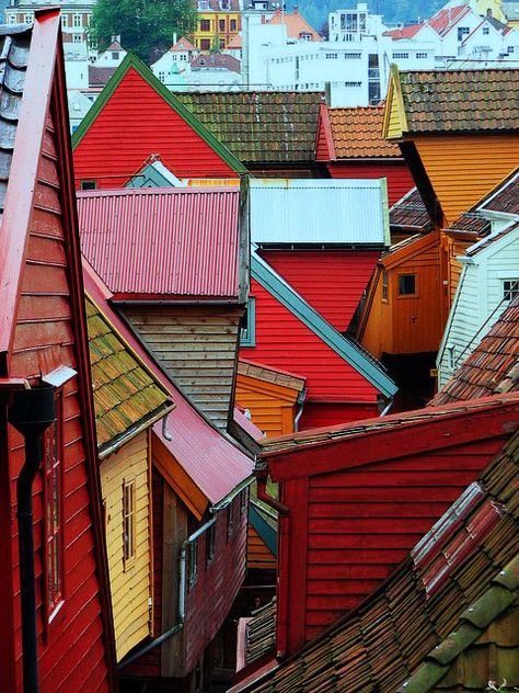 Rooftops of Bergen, Norway Want to go here? Our awesome travel agents can hook you up! http://www.cruisemagic.com                                                                                                                                                     More Colored Houses, Roof Tops, Nordland, Bergen Norway, Nordic Countries, Voyage Europe, Pretty Places, Oh The Places Youll Go, Dream Destinations