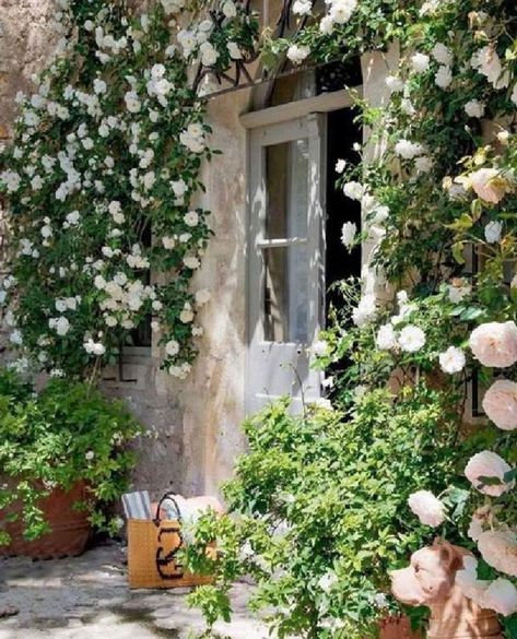 Melissa Penfold, Small Cottage Garden Ideas, Backyard Inspiration, French Garden, Climbing Roses, French Farmhouse, Easy Garden, Stone House, Garden Cottage