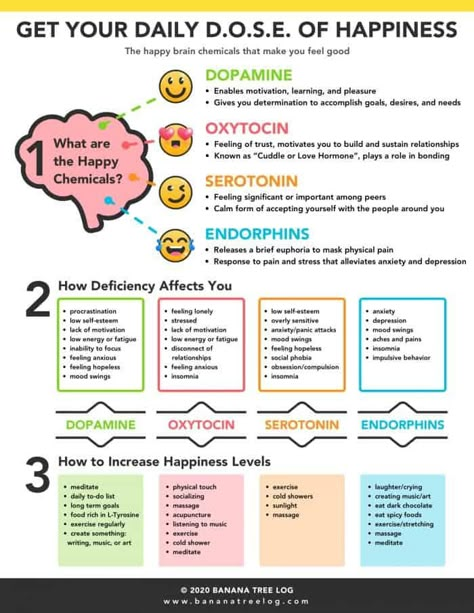 Happiness Chemicals, L Tyrosine, Happy Hormones, Physical Pain, Therapy Worksheets, Mental And Emotional Health, Self Care Activities, Coping Skills, Neuroscience