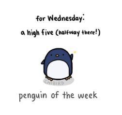 Cute Words Of Encouragement, Penguin Of The Week, Chi Bird, Positive Puns, Work Encouragement, Cute Encouragement, Cute Texts For Her, Calming Room, Cheer Up Quotes