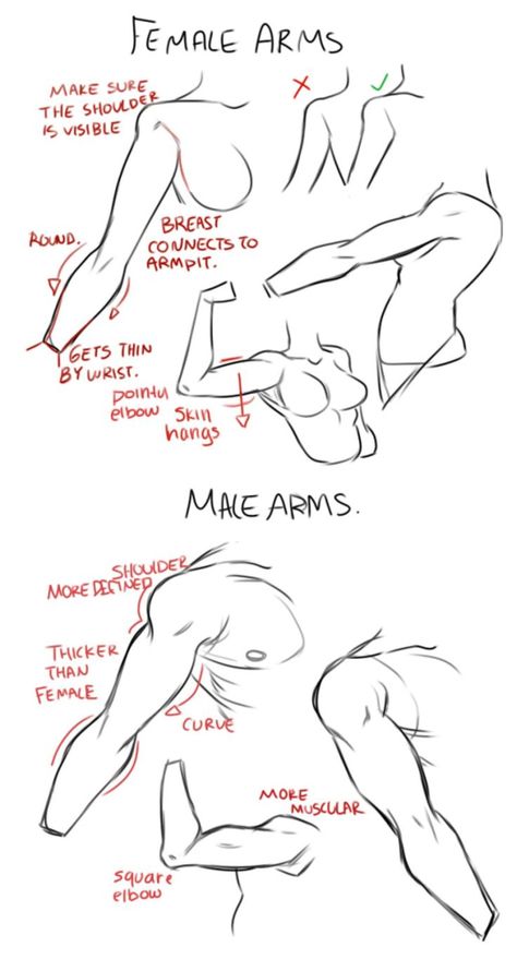 How To Draw Arms, Female Arms, Draw Arms, Arm Drawing, Arm Art, Stephanie Seymour, Anatomy Tutorial, Human Anatomy Drawing, Body Drawing Tutorial