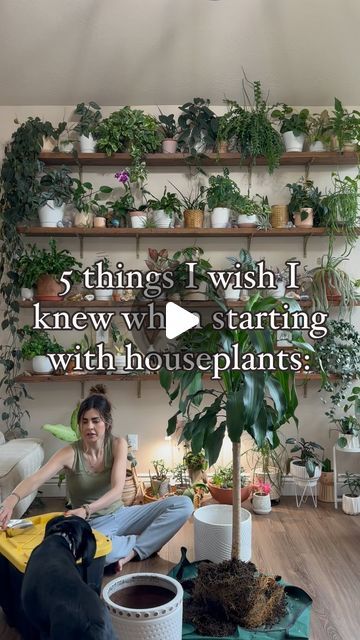 Plant Lady Aesthetic, Plant House Aesthetic, Apartment Jungle, Plant Room Aesthetic, Lady Aesthetic, Easy Care Houseplants, Plant Goals, Plant House, Plant Room