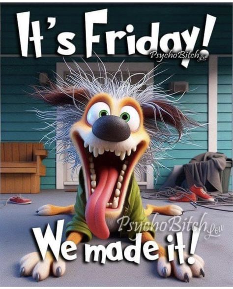 Good Morning Friday Funny Hilarious, It’s Friday Funny, Good Morning Friday Funny, Its Friday Humor, Happy Friday Funny Humor, Good Morning Its Friday, Chicken Wisdom, Verknipte Humor, Friday Dog