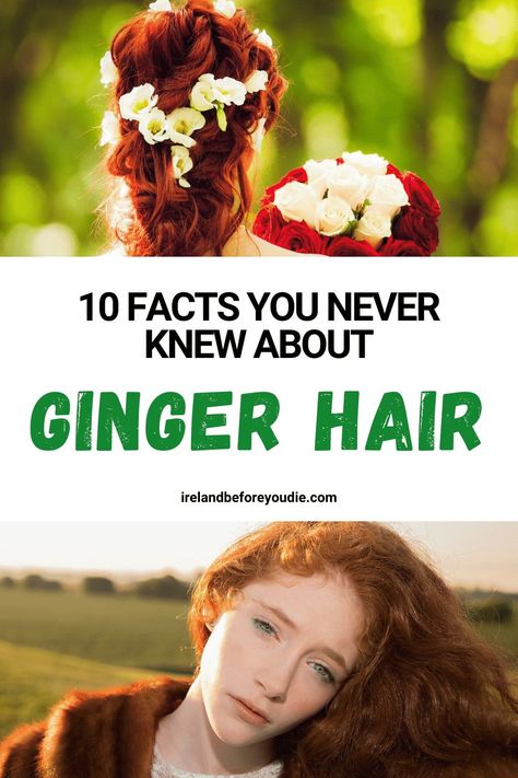 Ginger hair is a stereotypical trait of Irish people, but here are the top ten facts about ginger hair that you never knew. #GingerHair #RedHair #GingerHairfacts Best Clothing Colors For Gingers, Shades Of Ginger Hair Chart, Ginger Hair Natural Redhead, Facts About Gingers, Ginger Hair Styles Natural Redhead, Hairstyles For Gingers, Types Of Ginger Hair, Ginger Beer Hair Color, Irish Hairstyle