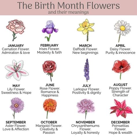 Wall Decals & Kids Art on Instagram: “What birth month flower would your children have? ❤️ Mine is the Lily. These are the options available for my Mother of Life Posters 🌸 All…” Flower Symbolism Meaning, Flower Symbolism, Small Wave Tattoo, Larkspur Flower, Flower Language, Flower Guide, Flower Meanings, Daffodil Flower, Marigold Flower