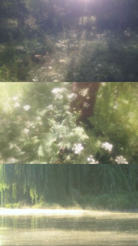 숲 사진, All The Bright Places, Fairycore Aesthetic, Cocoppa Wallpaper, Cinematic Photography, Film Aesthetic, Nature Aesthetic, Green Aesthetic, Pretty Places