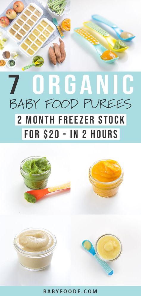 Learn to make your own homemade baby food purees with this easy DIY guide. You'll make seven delicious stage one baby food recipe combinations that will last two months! It doesn't get any easier (or cheaper) than this. Easy, healthy homemade baby food is just 2 hours and $20 away! #babyfood #frugal Organic Baby Food Recipes, Stage One Baby Food, Babyfood Homemade, Homemade Baby Food Storage, Baby Food Recipes Stage 1, Easy Homemade Baby Food, Fettucini Alfredo, Baby Food Recipe, Baby Food Combinations