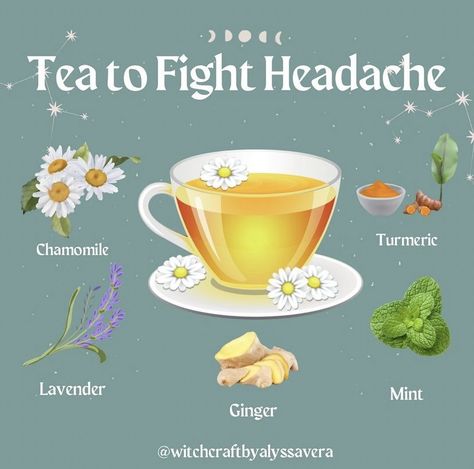 Herbal Tea For Headaches, Tea For Headaches, Headache Tea, Healing Tea Recipes, Elderflower Tea, Tea Blends Recipes, Herbal Tea Garden, Speed Up Your Metabolism, Herbal Tea Benefits