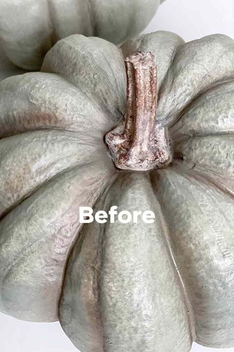 Painting Faux Pumpkins, Plastic Pumpkins Makeover, Velvet Pumpkins Display, Terra Cotta Pumpkins, Diy Fall Decor Outdoor, How To Paint Pumpkins, Pumpkin Spray Paint, Pumpkins Painting, Paint Pumpkins