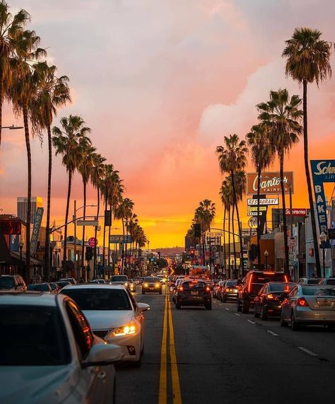 Enjoy! Los Angeles! on Instagram: “Los Angeles ❤️ Photo by 📸 @jessesndvl Credit 📸 @cali_invite_you . . . @america_states @conexao.america . . . #thisislosangeles…” Places To Go With Friends, Cali Beach, Angeles Aesthetic, California Wallpaper, Drivers Licence, Los Angeles Aesthetic, California Aesthetic, The Future Is Bright, Georgina Rodriguez