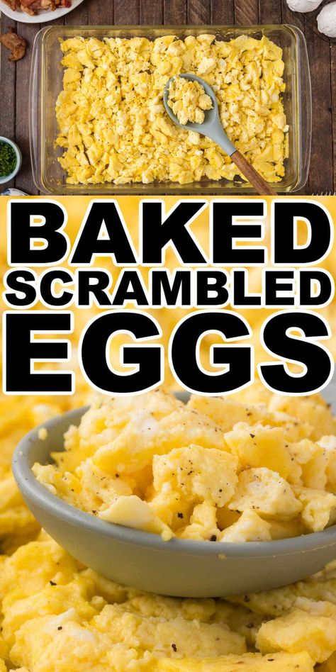 Oven baked scrambled eggs give you fluffy scrambled eggs every time. Simple prep, and easy cooking this oven baked scrambled eggs recipe is perfect for making breakfast or brunch for a crowd. Baked Scrambled Eggs, Scrambled Egg Bake, Oven Scrambled Eggs, Brunch For A Crowd, Easy Scrambled Eggs, Oven Baked Eggs, Eggs In Oven, Best Scrambled Eggs, Egg Recipes For Dinner