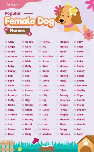 Popular Female Dog Names, Girl Pet Names, Puppy Names Unique, Girl Dog Names Unique, Puppies Names Female, Names For Pets, Dogs Names List, Girl Cat Names, Cute Animal Names