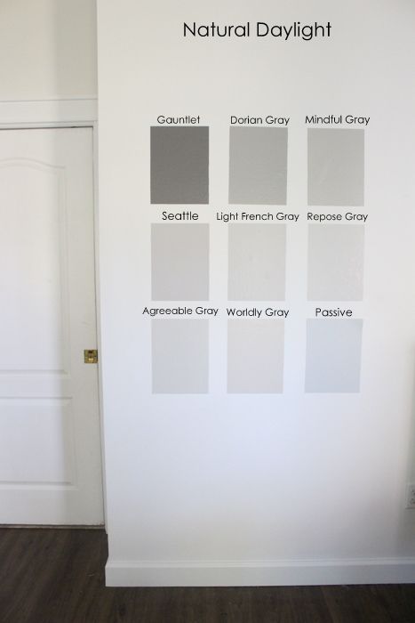 Nine Gray Paint Colors We Put to the Test for Your Home - Within the Grove Sherwin Williams Grey, Sherwin Williams Paint Gray, Light Grey Paint Colors, Gray Paint Colors, Worldly Gray, Sherwin Williams Gray, Gray Paint, Grey Paint, Grey Paint Colors