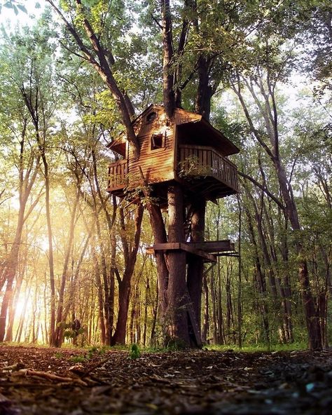 10 Gorgeous Tree Houses That Will Make You Want To Live In The Woods Beautiful Tree Houses, Ecological House, Tree House Diy, Diy Playhouse, Cool Tree Houses, Tiny House Cabin, Small Houses, Little Cottage, Forest House