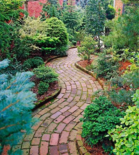 Garden Paths And Walkways, Brick Pathway, Brick Projects, Edging Plants, Walkway Design, Modern Front Yard, Brick Path, Brick Walkway, Best Home Design