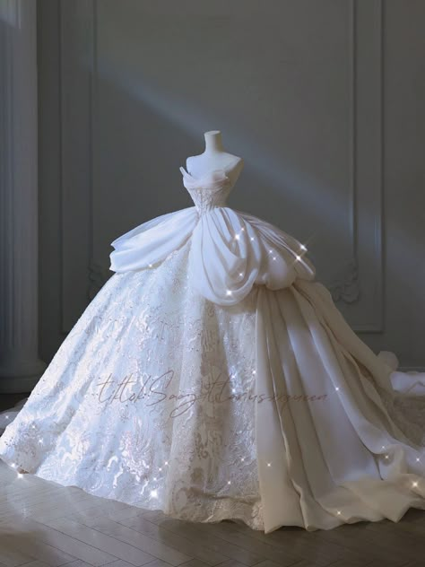 🩰 sur TikTok Cinderella Inspired Wedding Dress, Hey Couture Wedding Dress, Hey Couture, Cinderella Inspired Wedding, Pretty Gowns, Descendants Dr, Princess Vibe, Expensive Wedding, Inspired Wedding Dress