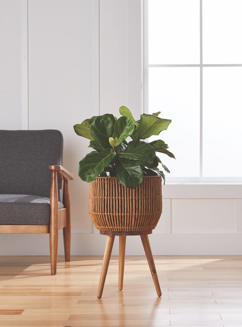 Better Homes & Gardens Brown Round Resin Planter & Stand Set with Wood Legs - Walmart.com Sitting Area With Plants Indoor, Boho Indoor Plants, Room Plants Aesthetic, Corner Living Room Decor, Plant Corner Ideas, Rattan Plant Stand, Apartment Shopping, Indoor Plant Stand, Basket Stand