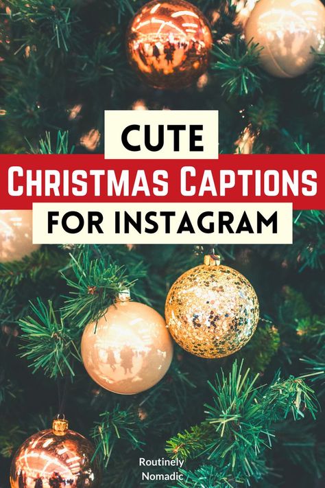 Decorated Christmas tree with the words Cute Christmas Captions for Instagram on top Cute Christmas Ig Captions, Insta Christmas Captions, Christmas Captions For Couples, Caption For Christmas Photos, Instagram Christmas Captions, Cute Christmas Captions For Instagram, Winter Letterboard Quotes, Cute Christmas Captions, Winter Letterboard