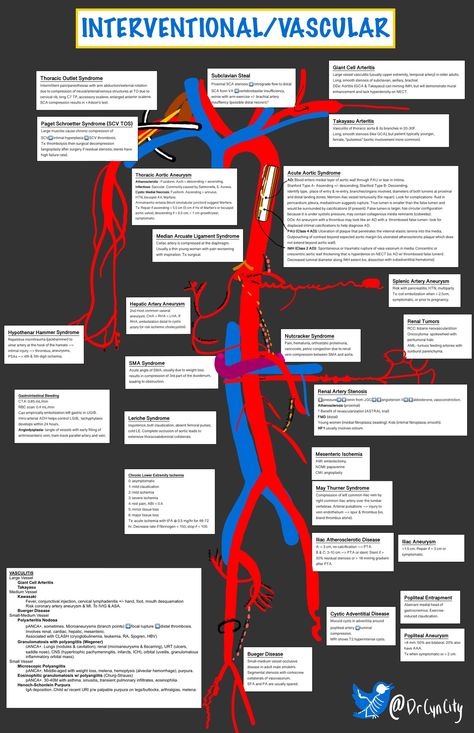 Vascular Interventional Radiology Cheat Sheet  Cynthia Czawlytko, MD @drcyncity  #Vascular #Interventional #Radiology #CheatSheet #Differential #Diagnosis #Interventions #Diseases #procedures #summary #diseases Radiology Nursing, Clinical Instructor, Cardiac Sonography, Vascular Ultrasound, Radiology Student, Natural Remedies For Insomnia, Medical Sonography, Differential Diagnosis, Radiology Imaging