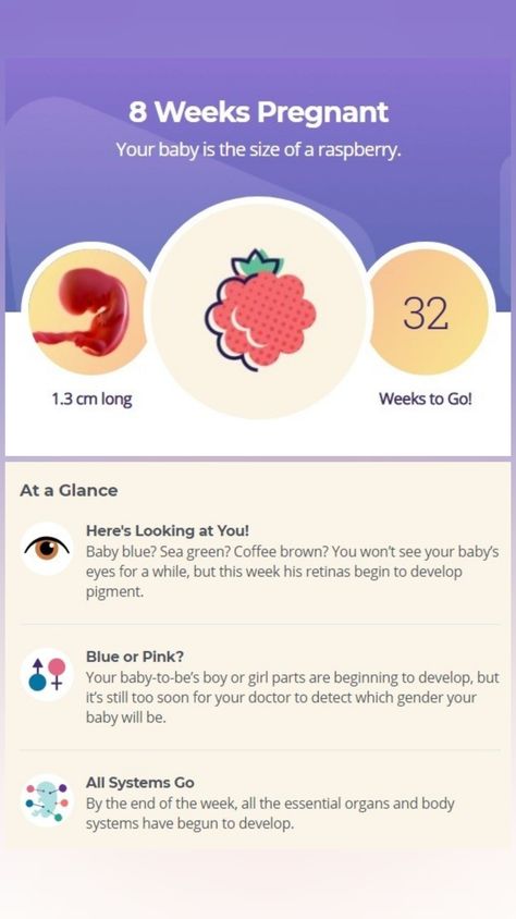 8weeks Pregnant, Pregnancy At 40, Pregnant Week By Week, Week 8 Pregnancy, Baby Fruit Size, 8 Weeks Pregnant, Baby Journal Book, Baby Countdown, Pregnancy Week